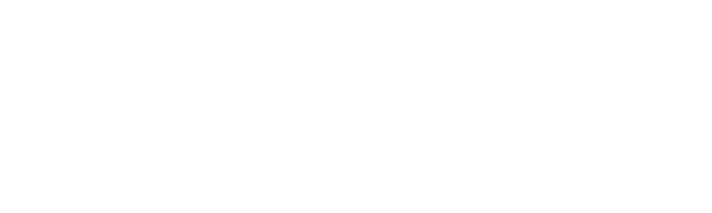 EPUNTO Interim Management