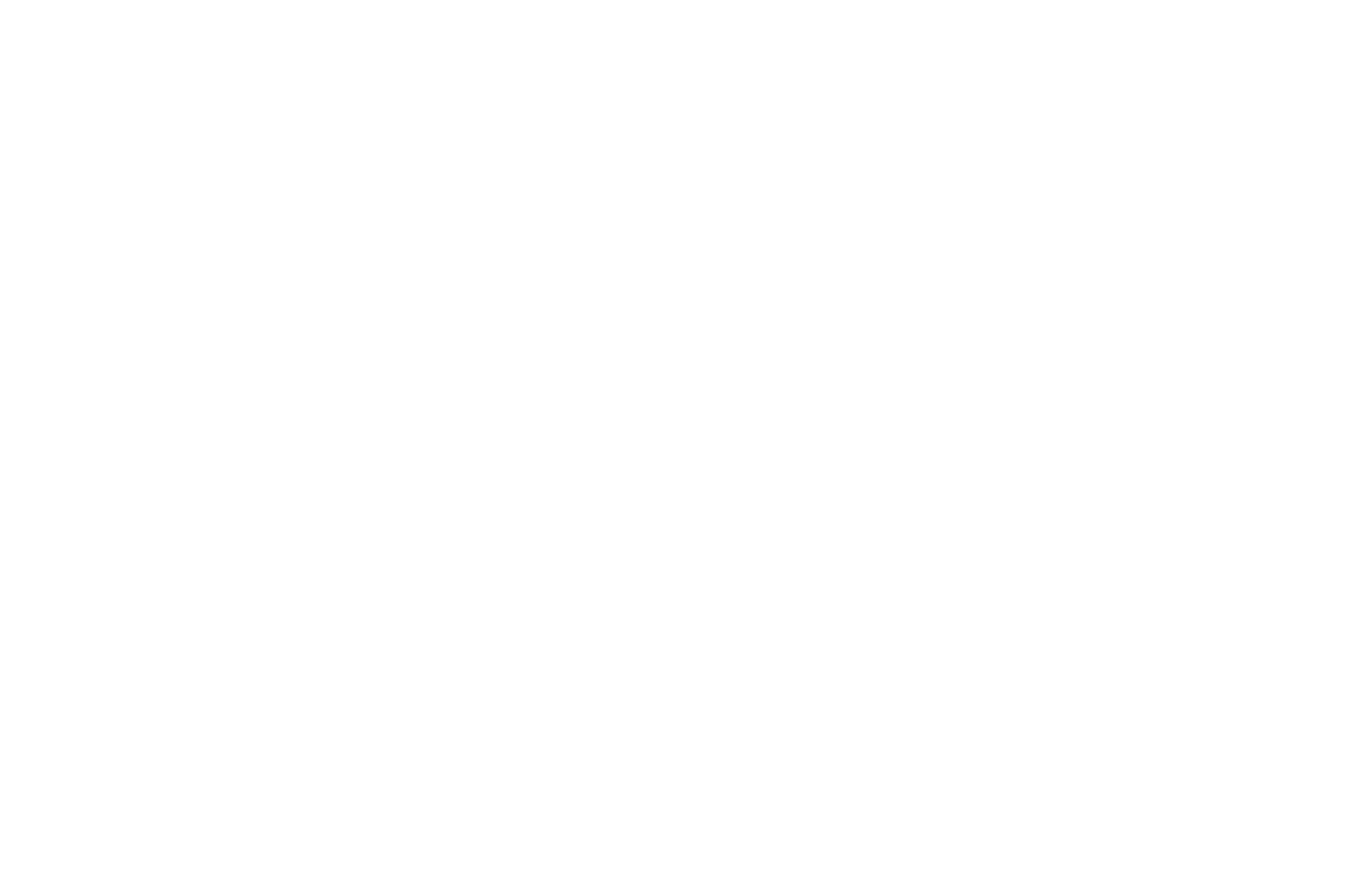 EPUNTO Interim Management