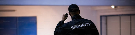 Sector defensa y seguridad