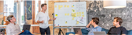 SECTOR STARTUPS Y SCALEUPS